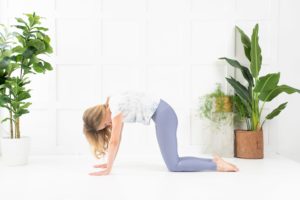 Cat pose - an easy yoga pose for kids