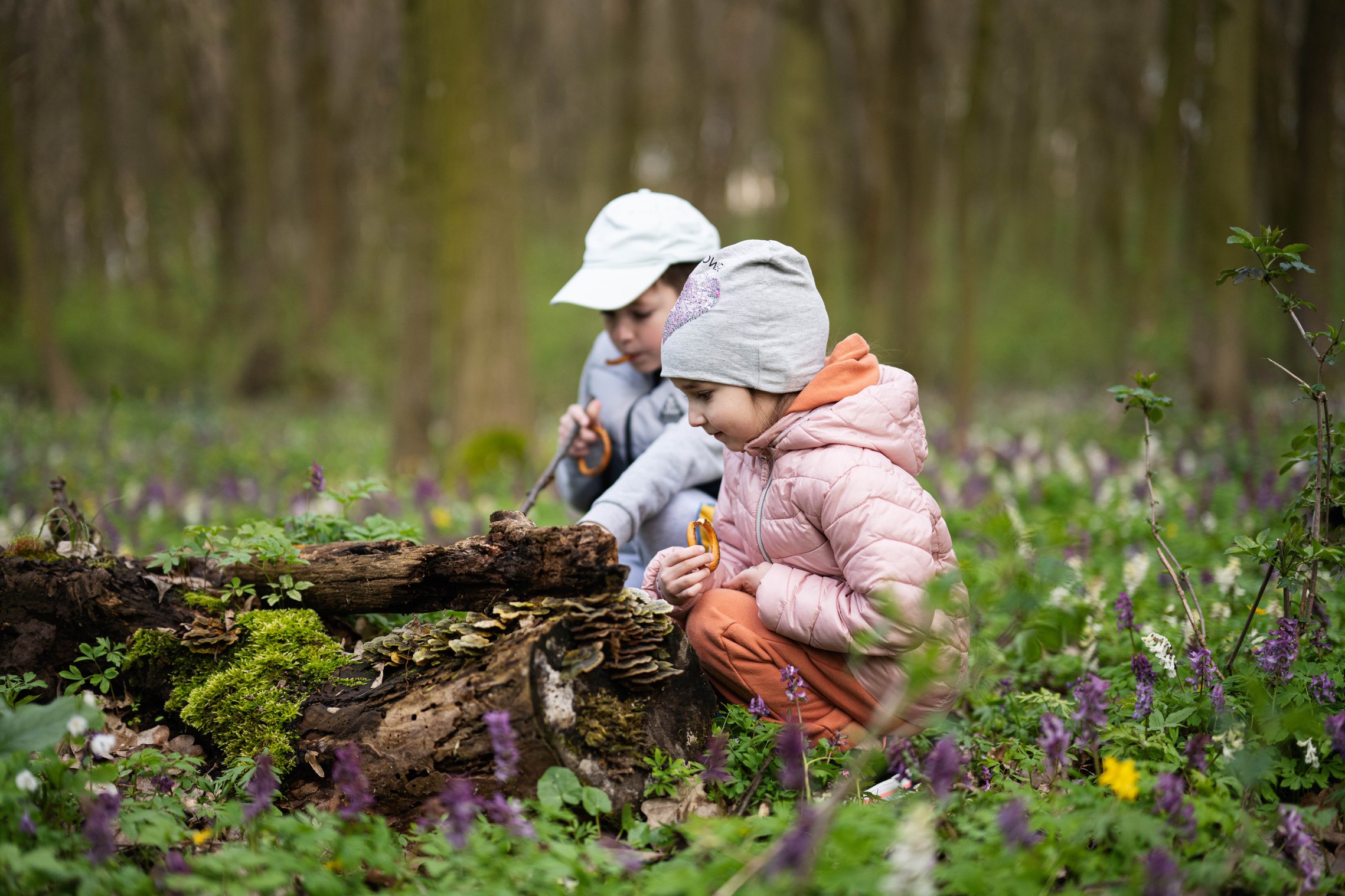 Math in Nature: Finding Patterns and Shapes Outdoors