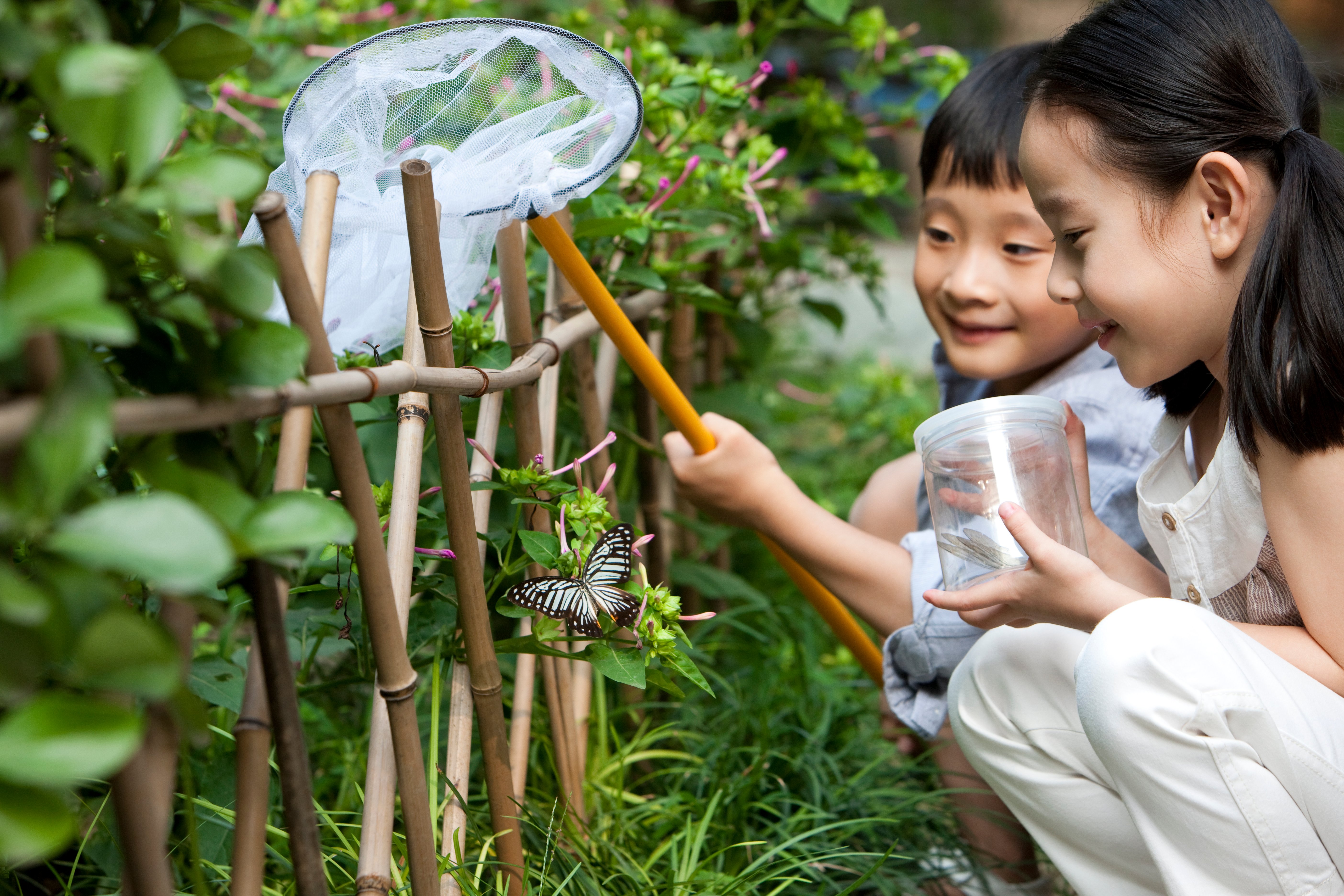 chinese-children-in-a-garden-looking-at-a-butterfl-2022-04-02-01-56-41-utc