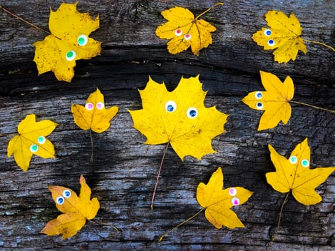 different-yellow-autumn-leaves-with-googly-eyes-on-2025-03-08-02-31-47-utc