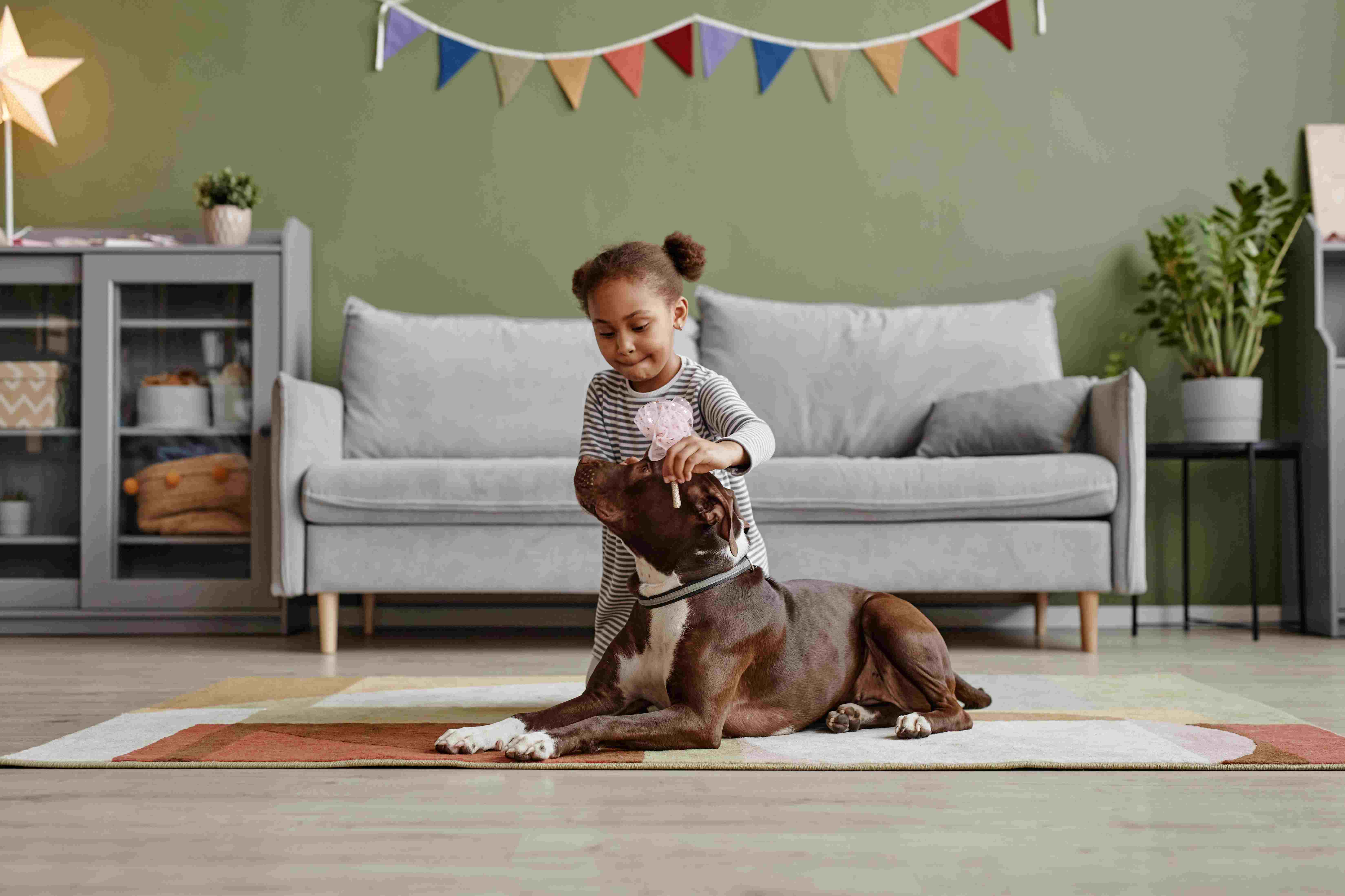girl playing with a dog 