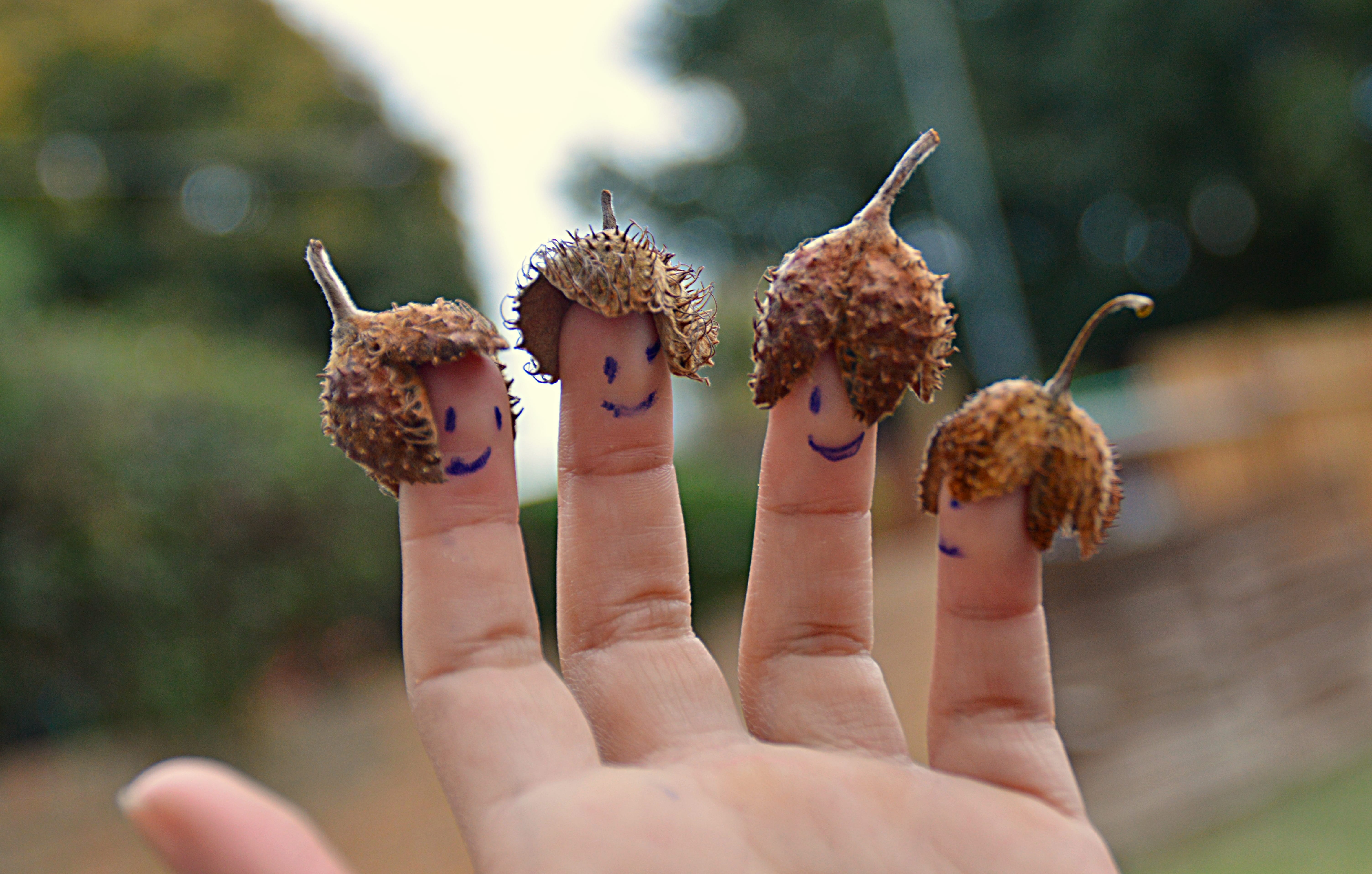 A child's hand with smiley faces on each fingertip and Fall foliage on each finger as a hat. 